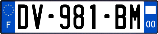 DV-981-BM