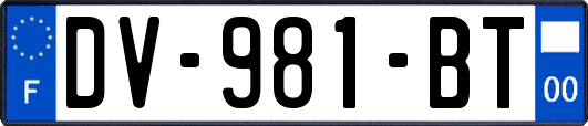 DV-981-BT