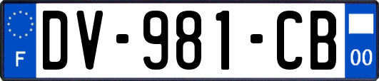 DV-981-CB