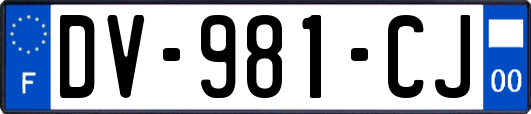 DV-981-CJ