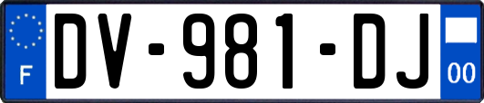 DV-981-DJ