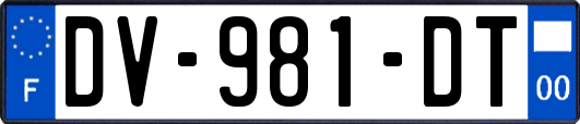 DV-981-DT