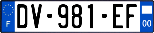 DV-981-EF