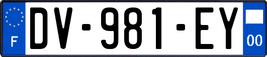 DV-981-EY