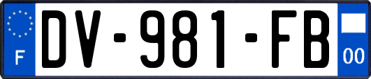 DV-981-FB