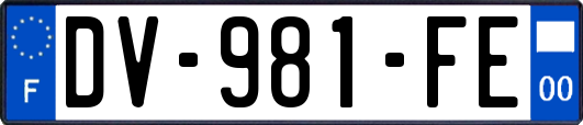 DV-981-FE