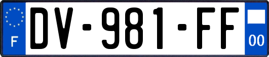 DV-981-FF