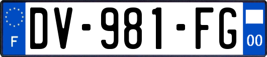 DV-981-FG