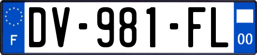 DV-981-FL