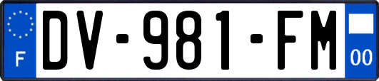 DV-981-FM