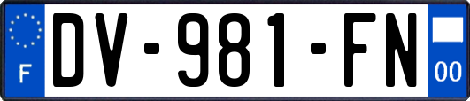 DV-981-FN