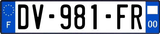 DV-981-FR