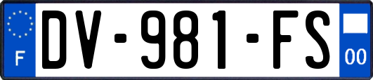 DV-981-FS