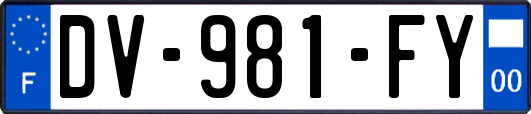 DV-981-FY