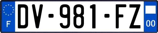 DV-981-FZ