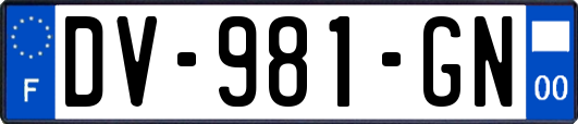DV-981-GN