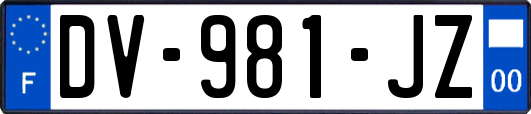 DV-981-JZ