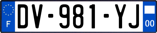 DV-981-YJ
