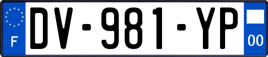 DV-981-YP