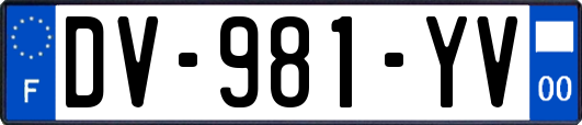 DV-981-YV