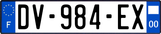 DV-984-EX