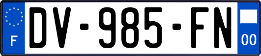 DV-985-FN