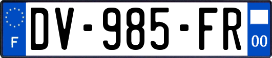 DV-985-FR