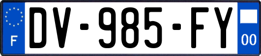 DV-985-FY