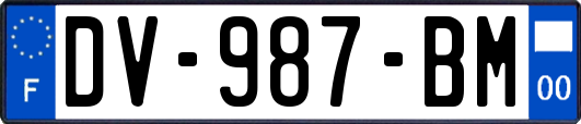 DV-987-BM