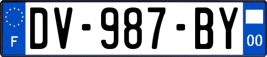 DV-987-BY