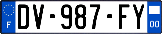 DV-987-FY