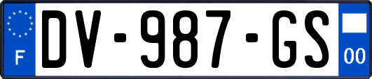 DV-987-GS