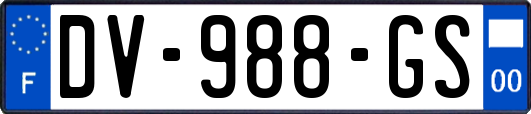 DV-988-GS