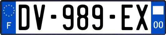 DV-989-EX