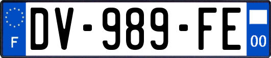 DV-989-FE