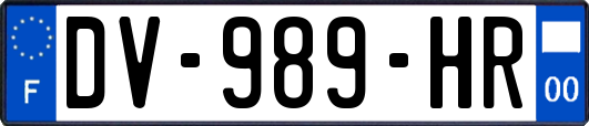 DV-989-HR