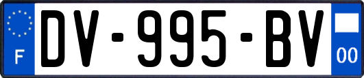 DV-995-BV