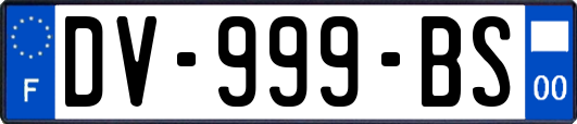 DV-999-BS