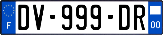 DV-999-DR