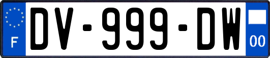 DV-999-DW