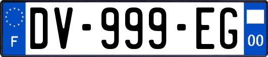 DV-999-EG