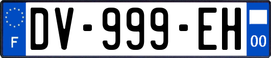 DV-999-EH