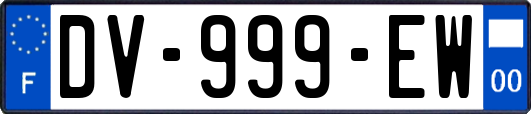 DV-999-EW