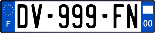 DV-999-FN