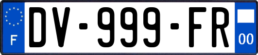 DV-999-FR