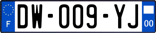 DW-009-YJ