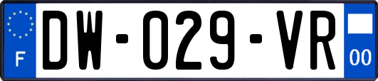 DW-029-VR