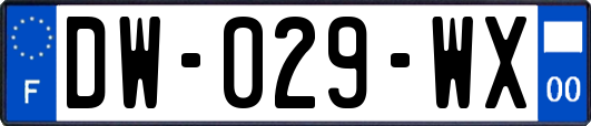 DW-029-WX