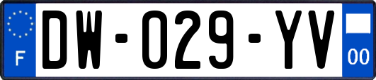 DW-029-YV