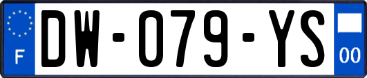 DW-079-YS